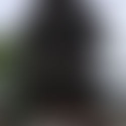 丁寧さ随一の無料体験添削受付中
