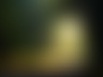 חכם הולך בדרך האמצע