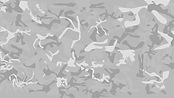 camouflage_06_1920x1080.jpg