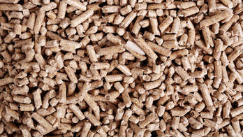 pellets-surface.jpg