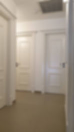 דלתות פנים פרובאנס