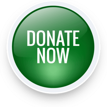 donate now