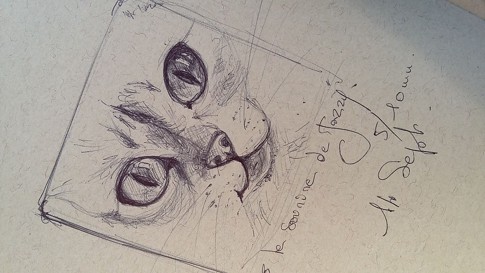 Chat, croquis, Isabelle Moulis, Artiste Peintre, La Rochelle