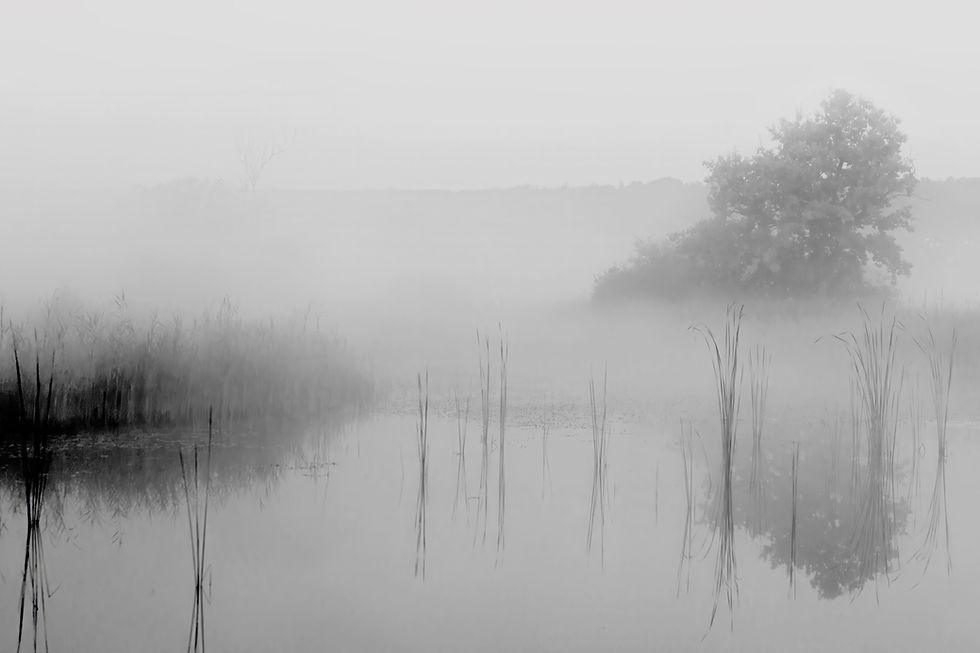 2024-08-10 - IMG_4927 - BW.jpg