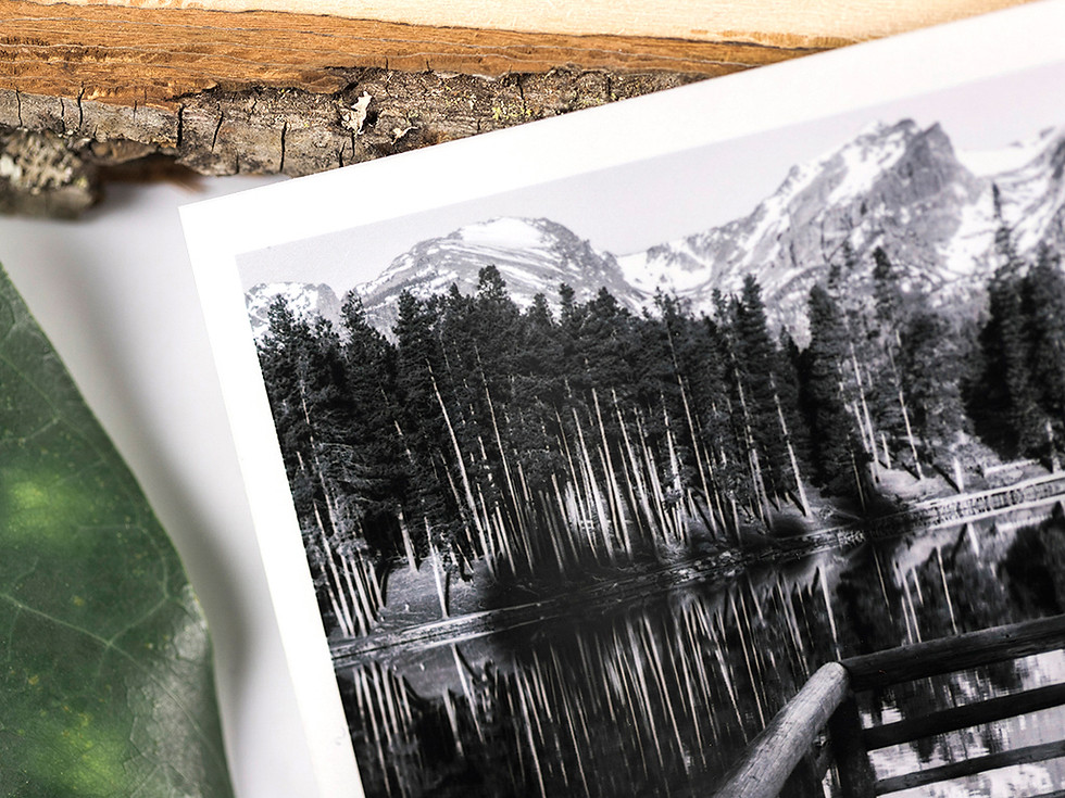 Thumbnail: Prints