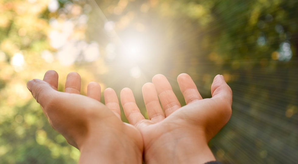 foto van open handen die reiken naar het licht dat tussen de bladeren van de bomenen doorschijnen.