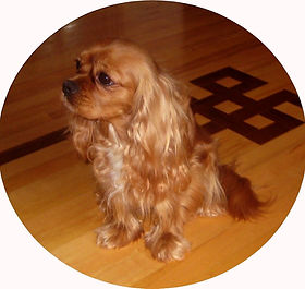 Gina 2010_012 new.jpg