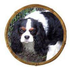 Argain head in frame.jpg