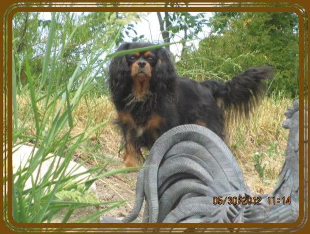 Mishka frame June 12 018