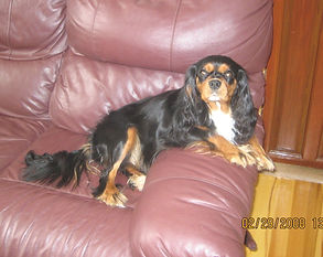 Alexis one 08 new.jpg