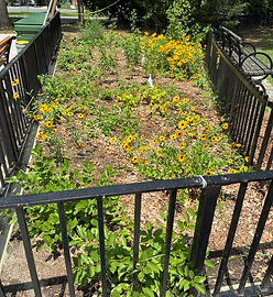 Friends of Bowne Park 