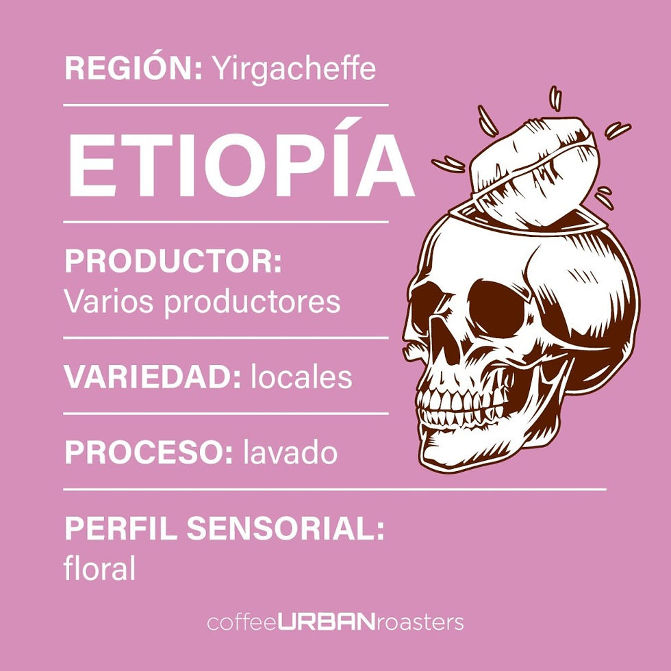 Cafe etiopia