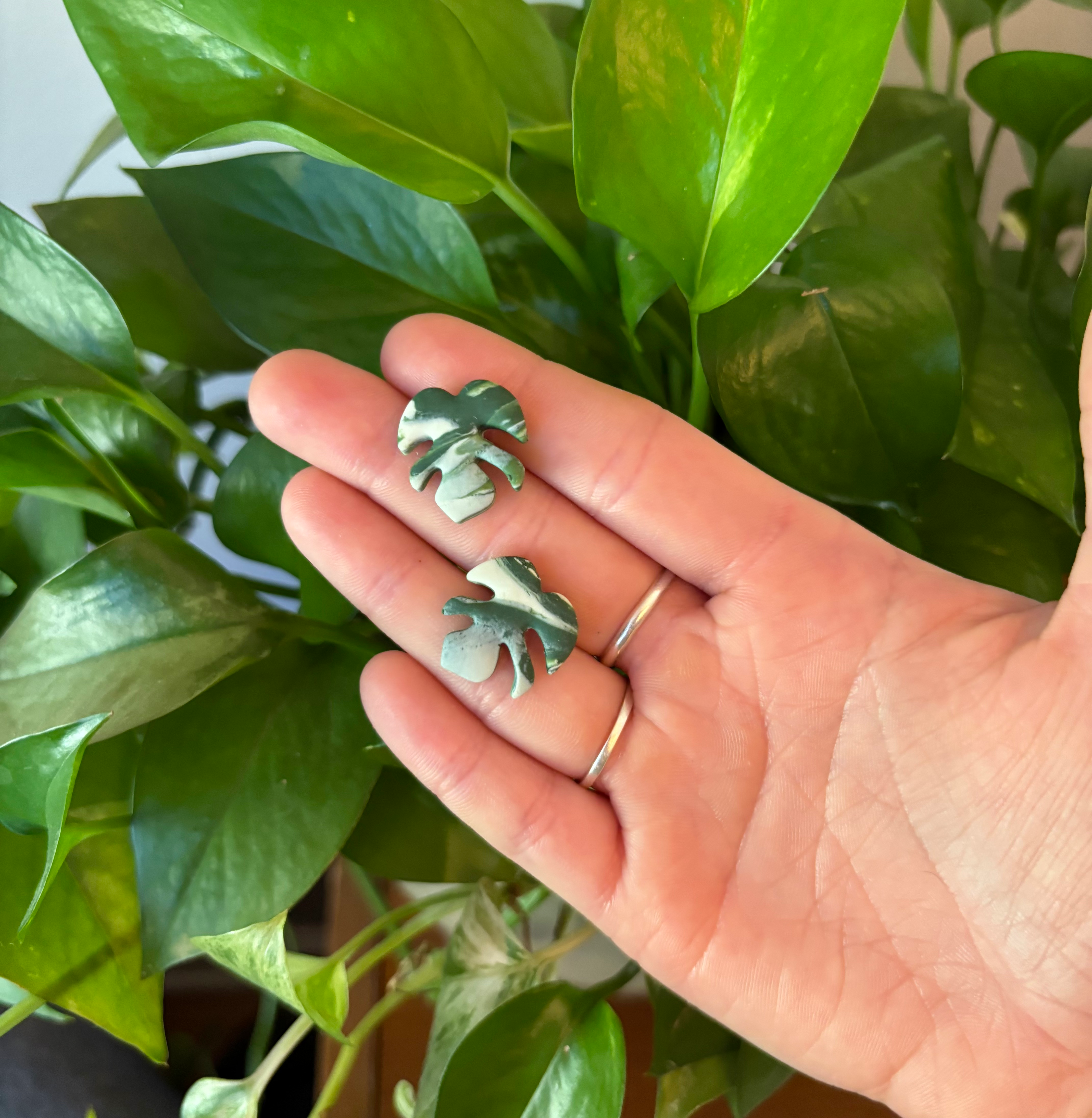 Monstera Studs