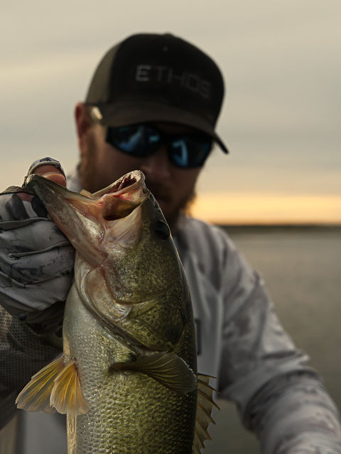 Ethos Fish.jpg