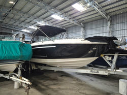 Sea Ray 290 SDX - Náutica de Punta