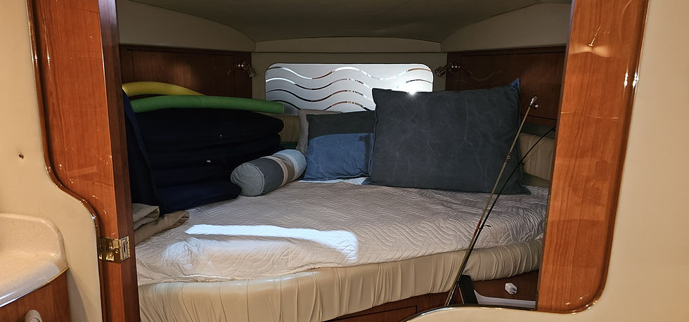 Sea Ray 340 Ambrejack