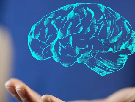 How dopamine interacts with the brain reward system.