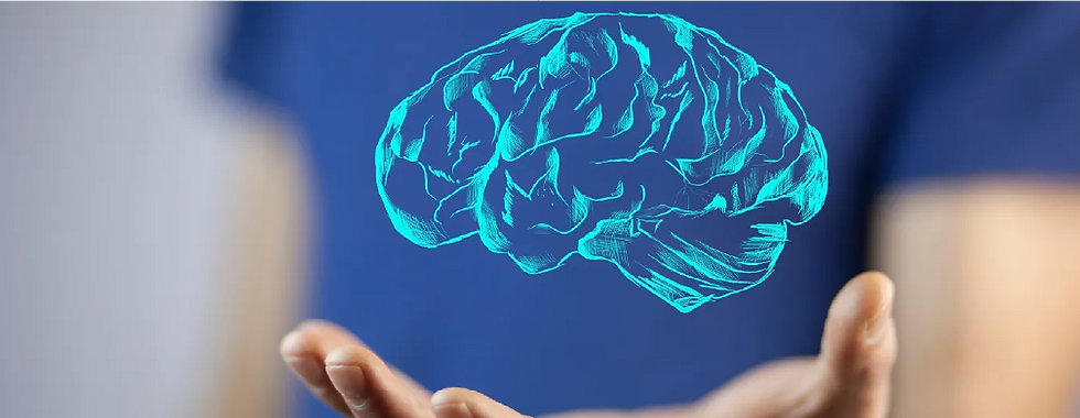 How dopamine interacts with the brain reward system.