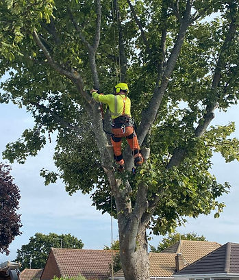 WhatsApp Image 2024-10-10 at 13_edited.jpg