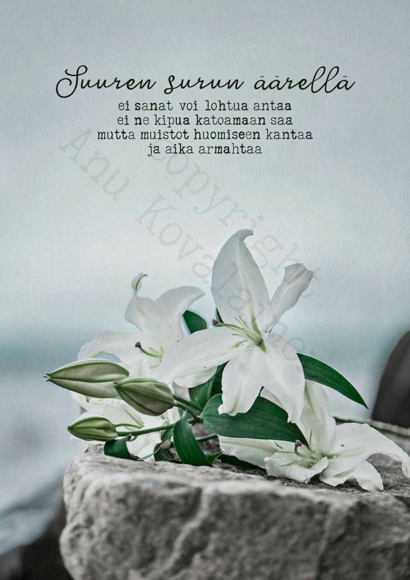 Adressi "Lilja"