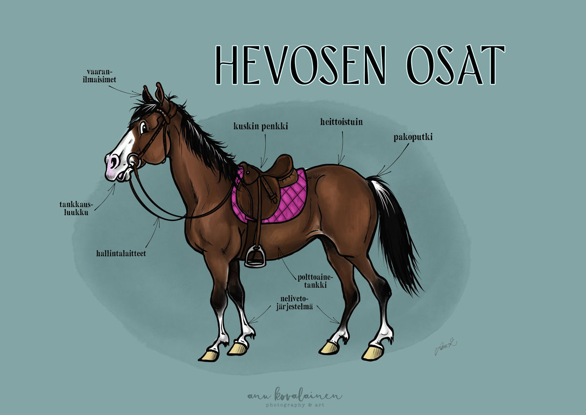 Postikortti "Hevosen osat"