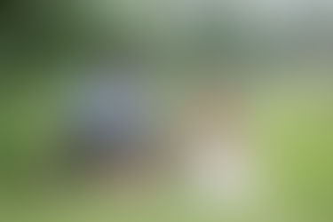 Mustavalkokuvan käsittely