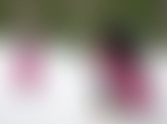 Kaluston vaikutus kuvan lopputulokseen