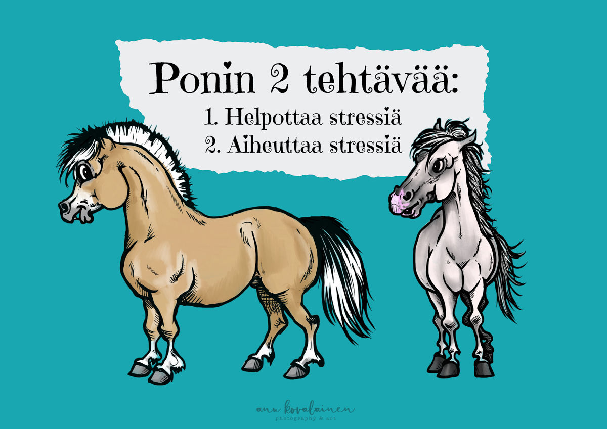 Postikortti "Ponin tehtävät"