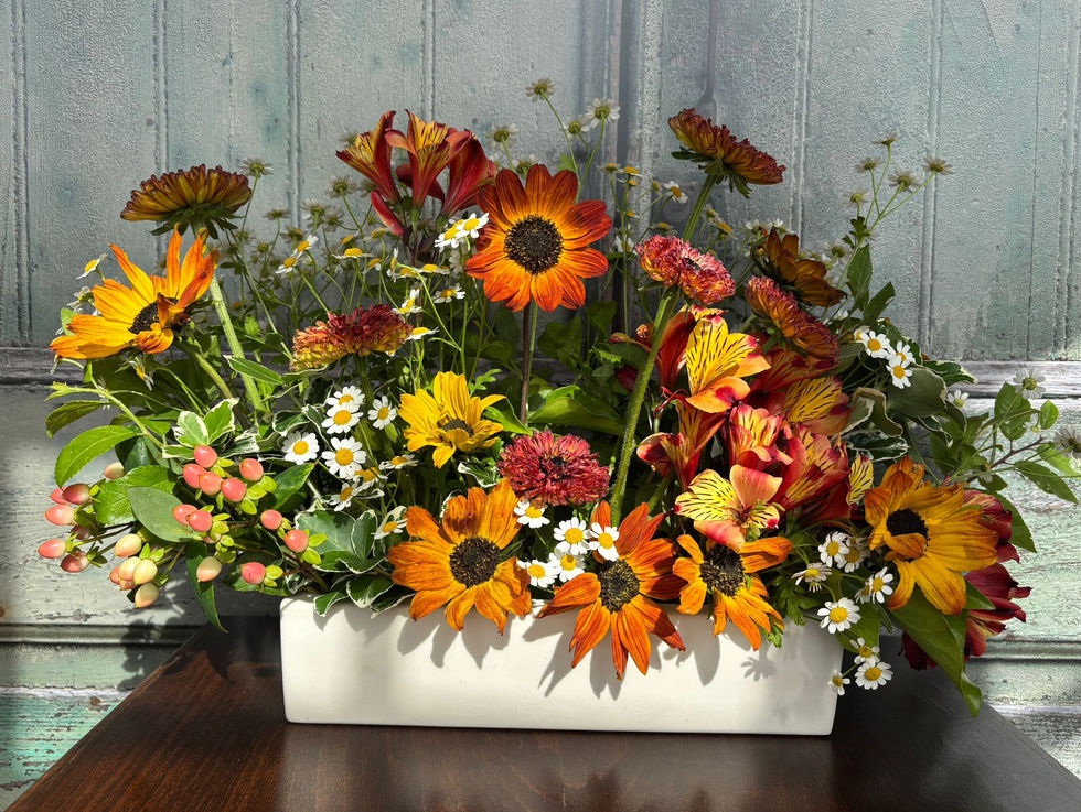 WhatsApp Image 2025-07-31 at 18.02.41_0d913c19.jpg