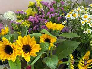 Late Summer in Bloom: Finding Beauty in the Season