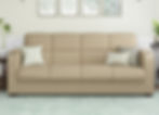 Convert-a-Couch Sleeper sofa