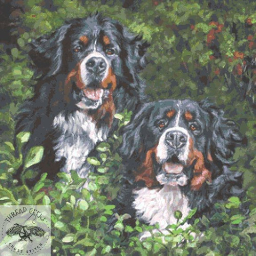 Bernese Mountain Duo Counted Cross Stitch Chart Dog Thread Geeks