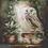 Miniatura: Cherie Gerhardt Set Counted Cross Stitch Charts - Mystic Moon Media