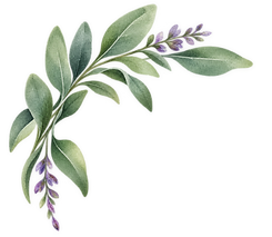 Sage leaf graphic for Las Vegas wellness sanctuary