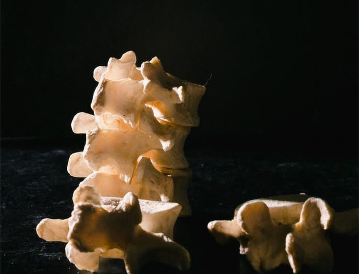 Stacked spine vertebrae model demonstrating nervous system chiropractic adjustments in Southport Chicago