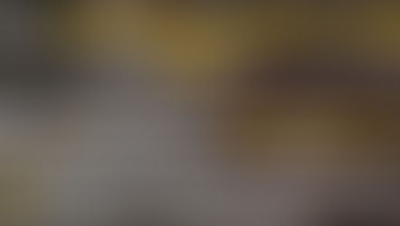 Il corso Mediatore E-RAV® si fa in quattro!