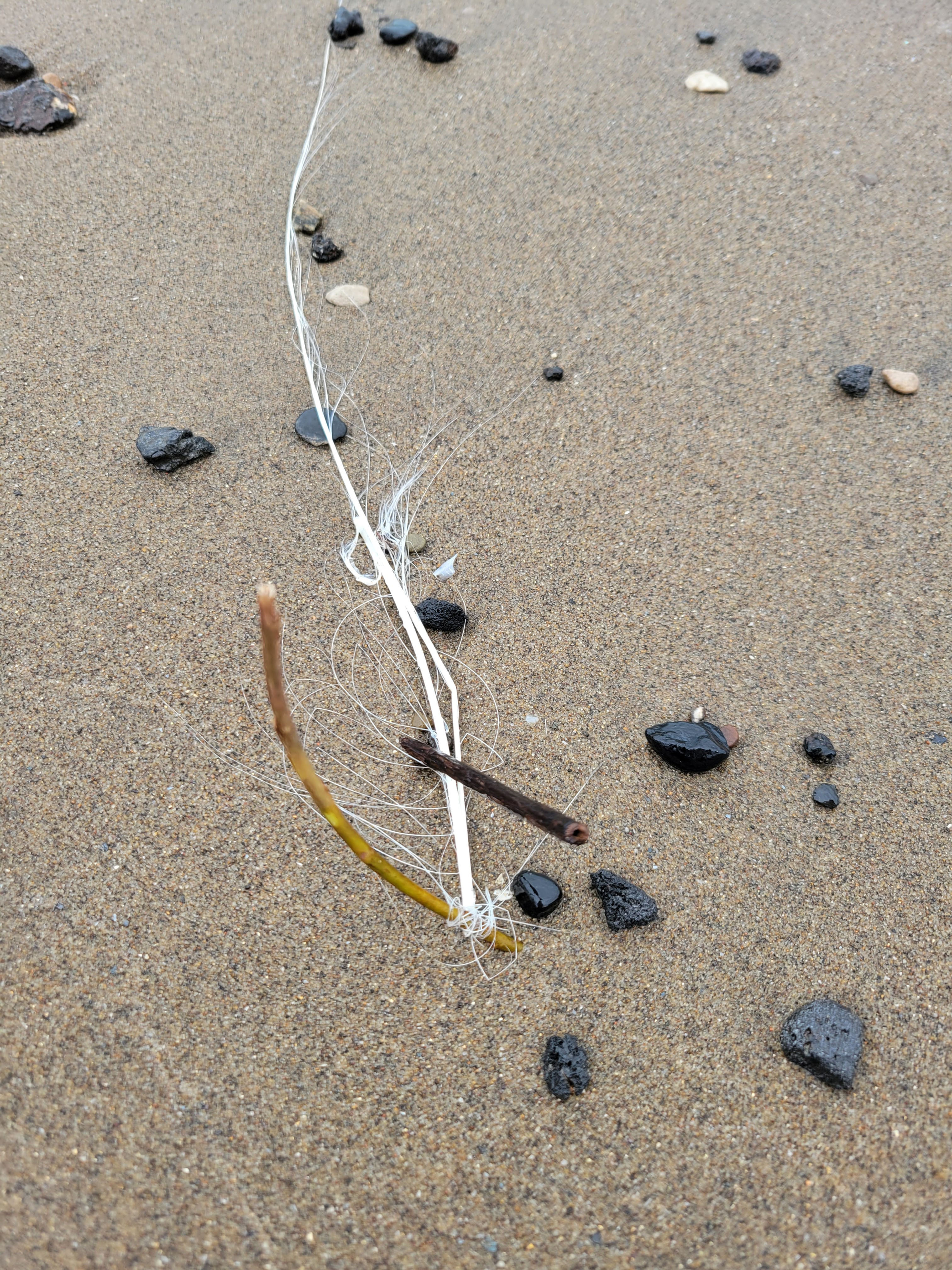 Anchoring Rod