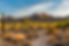 AdobeStock_235016702.jpeg