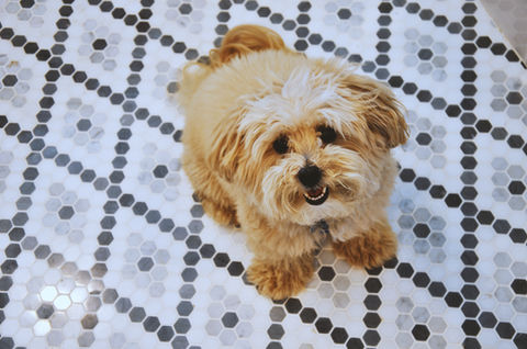 Instagram9_Riggins_IMG_0326Final copy.jpg