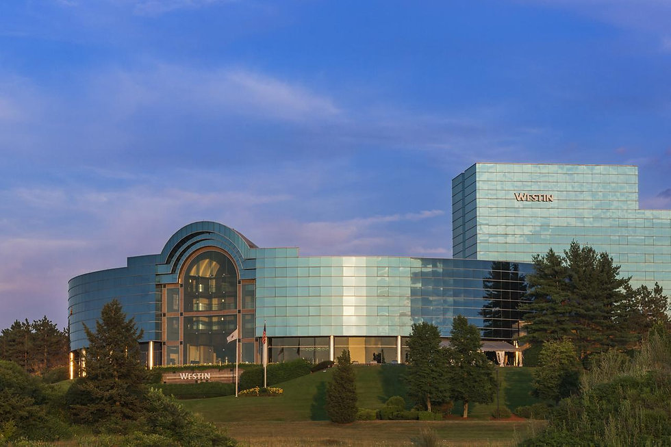 westin waltham.jpeg