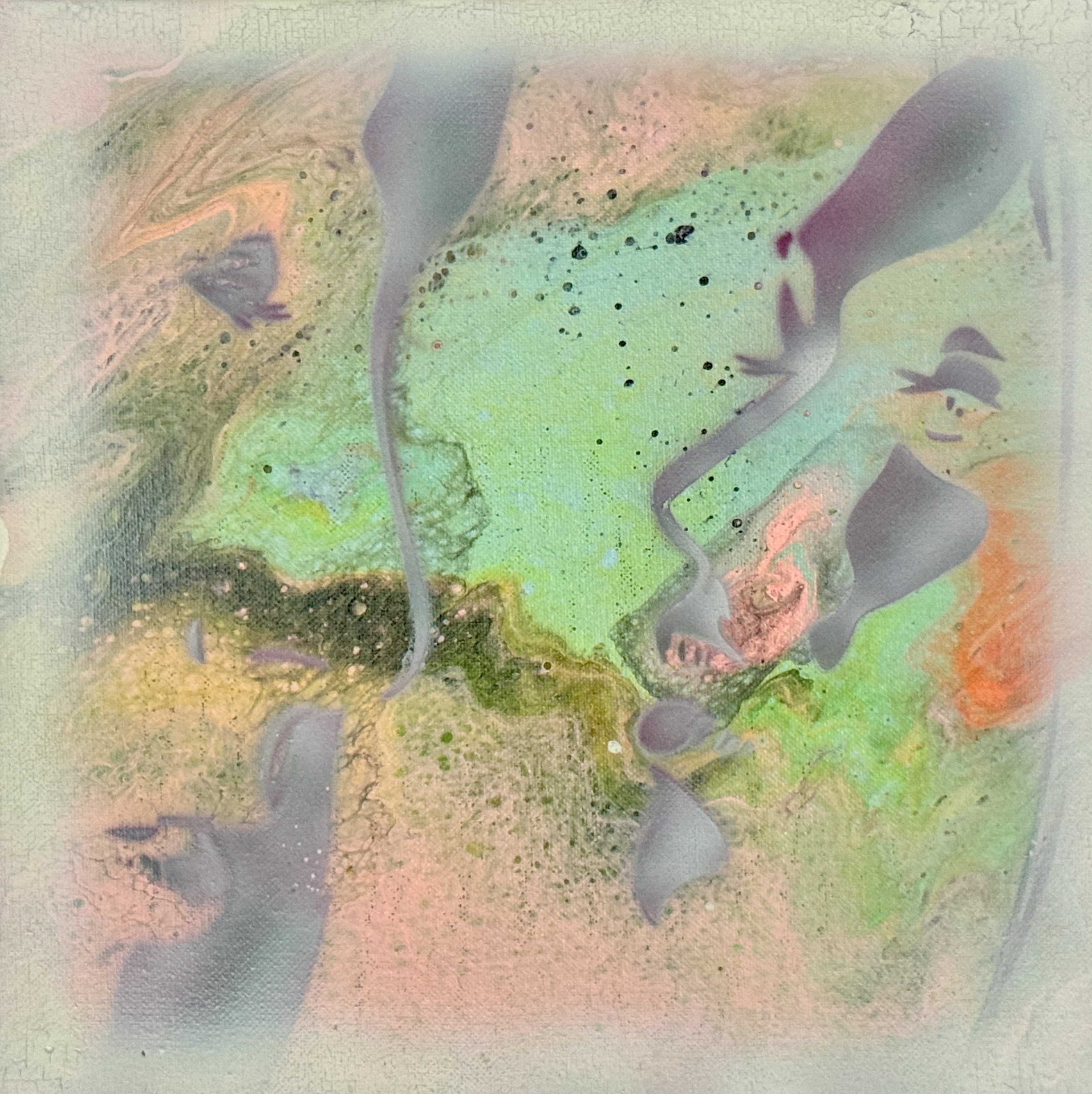Fading Faces