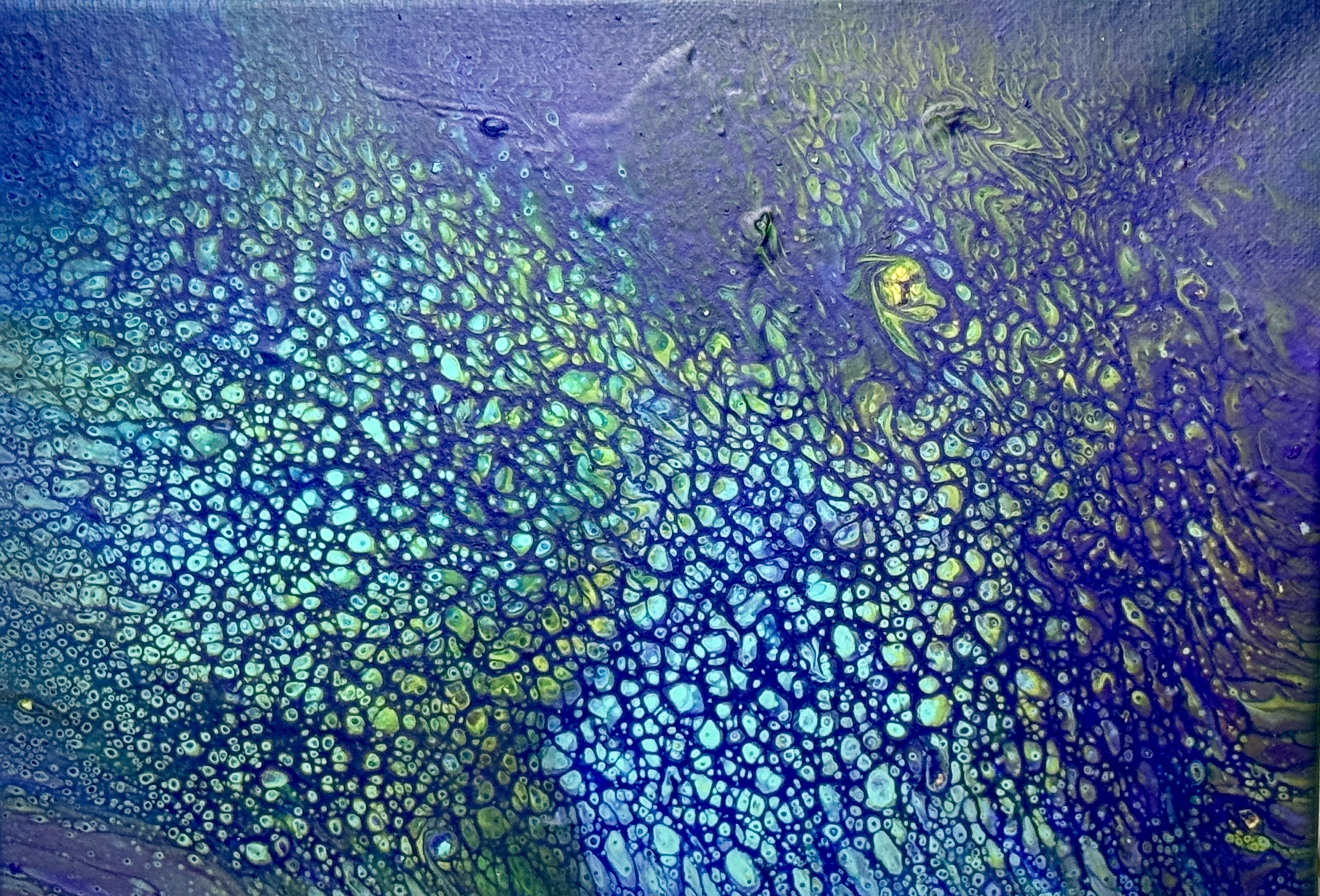 Coral