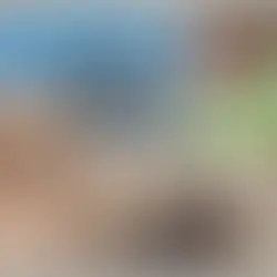 Professor Andrea di Robilant on the BBC