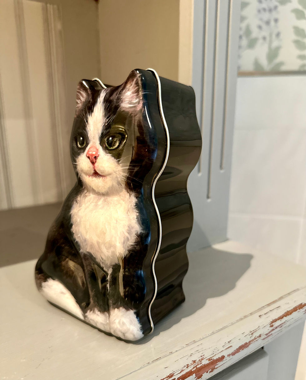 Miniatura: Lata gato