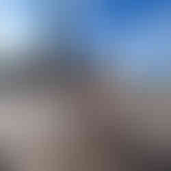 Visita nel centro di Amsterdam in bici