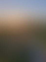 Itinerario di 20 Giorni in Sudafrica: Guida Completa per un Viaggio On the Road