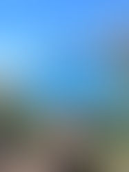 Guida Completa all'Escursionismo in Italia: Scopri la Mappa Digitale Sentiero Italia CAI e le Migliori App per Trekking