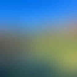 Panorama della città di Volendam con case tradizionali, canali e il paesaggio tipico dei Paesi Bassi