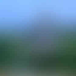 tatua della Regina Vittoria situata davanti a Kensington Palace, con una figura imponente su un piedistallo decorato e circondata da giardini verdi e fioriti