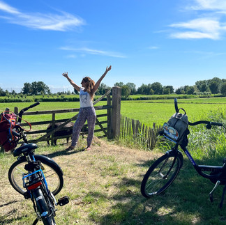 Bicicletta parcheggiata in un campo olandese vicino ad Amsterdam